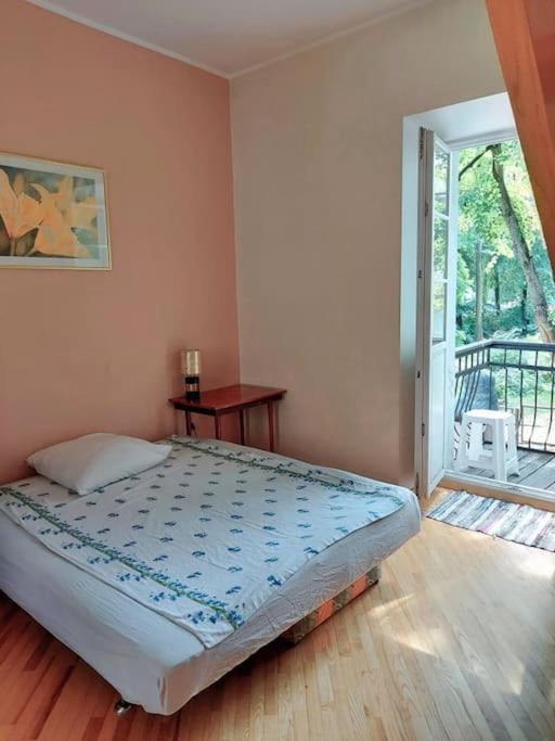 Appartement In Old Town VNO